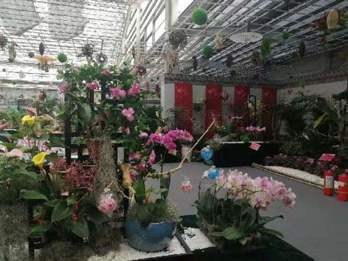 展示230万株精品花卉 第21届中国 青州 花卉博览交易会圆满落幕